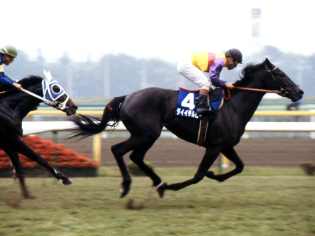 Daiichi Ruby